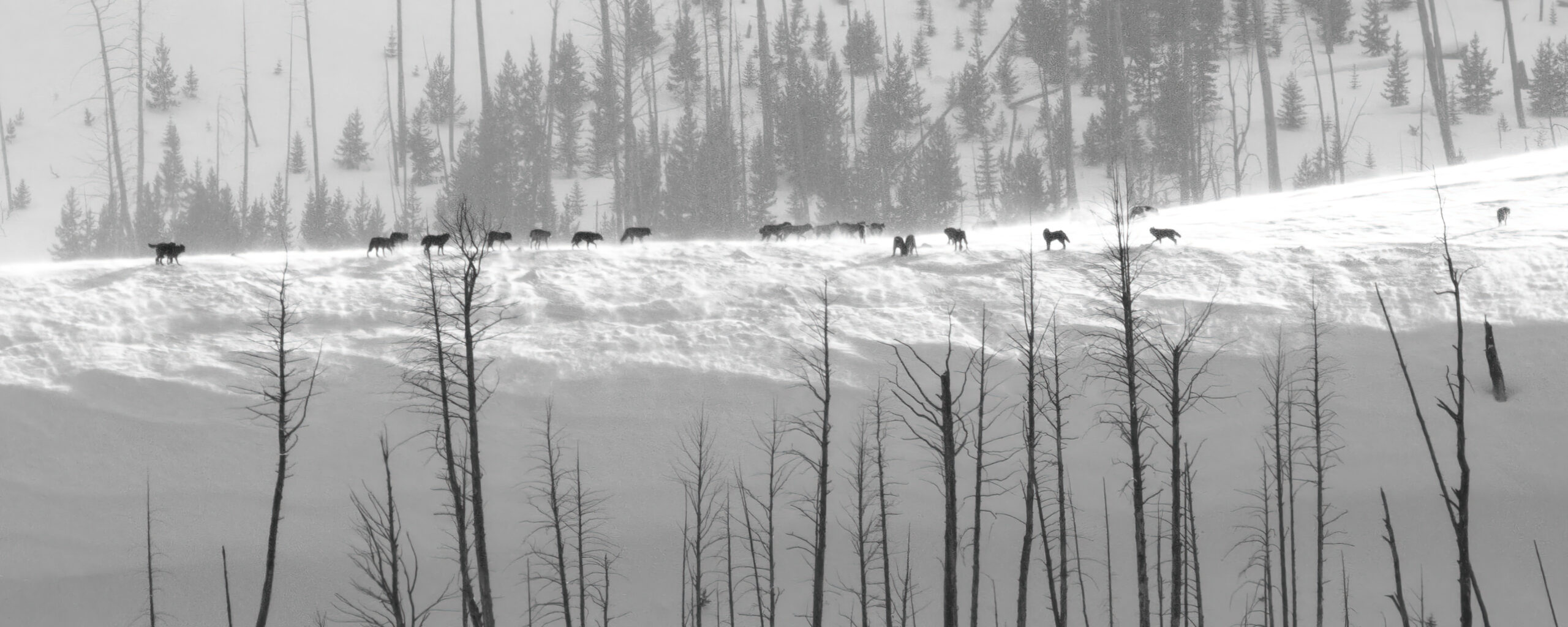 snow river in grand teton mountains